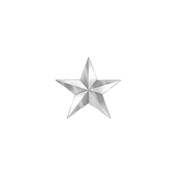 Brigadier General