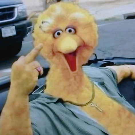 BigBird7708