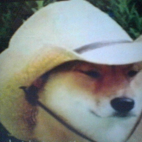 GriffTheSpiff