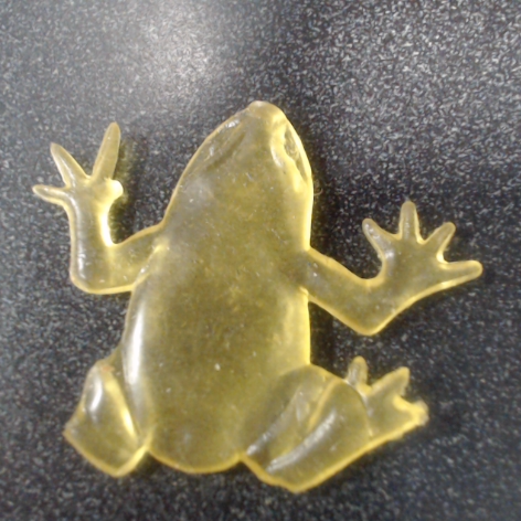 Frogchamp