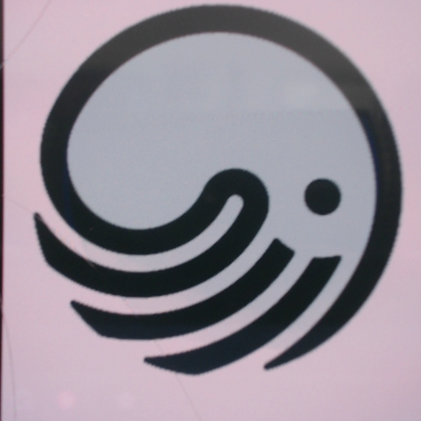 SqueakySquid