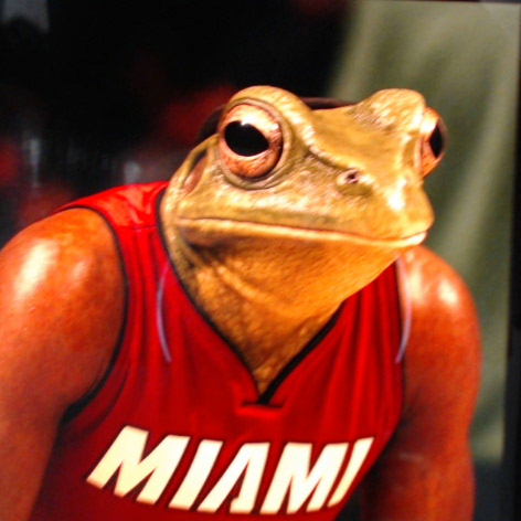LeFrog
